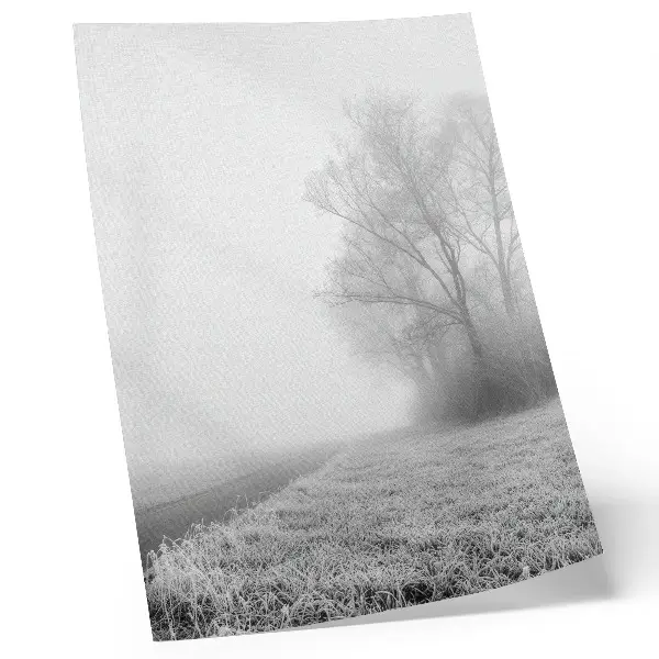 Decorative poster featuring a peaceful winter landscape with subtle fog and trees