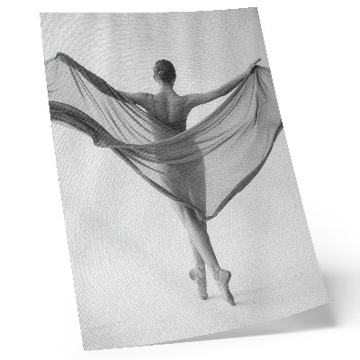 Poster Black and white dance elegance movement sophistication