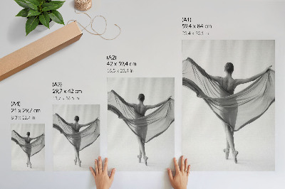 Poster Black and white dance elegance movement sophistication