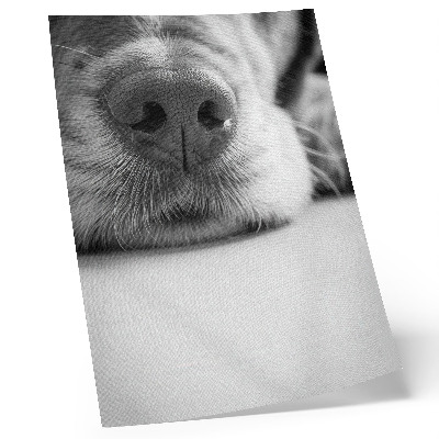 Premium wall art Close-up of a dog black and white texture minimalism