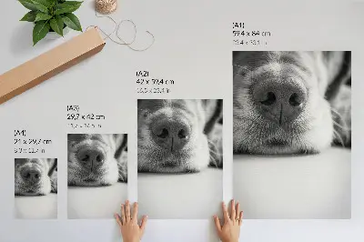 Premium wall art minimalist black and white dog texture close-up