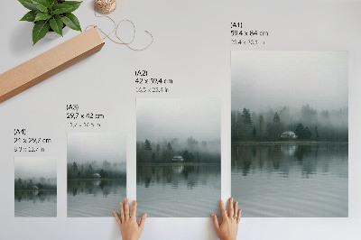 Poster Fog, trees, house, reflection, quiet landscape
