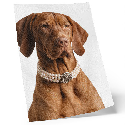 Decorative poster Elegant dog necklace with luxurious finish