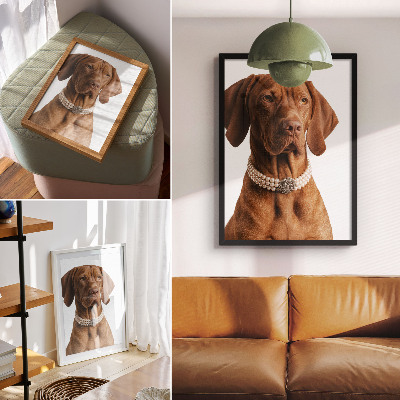 Decorative poster Elegant dog necklace with luxurious finish