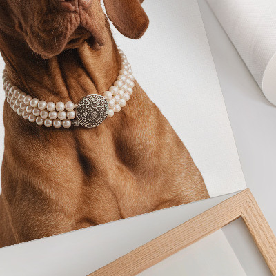 Decorative poster Elegant dog necklace with luxurious finish
