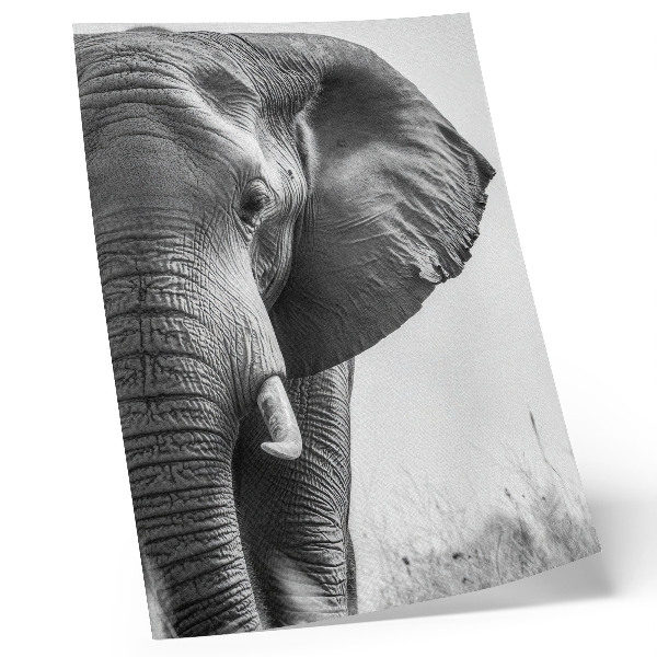 Decorative poster Monochromatic atmosphere, wrinkled leather, elegance