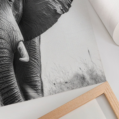 Decorative poster Monochromatic atmosphere, wrinkled leather, elegance