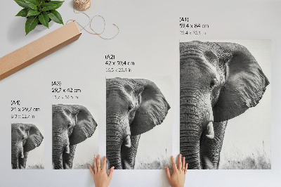 Decorative poster Monochromatic atmosphere, wrinkled leather, elegance