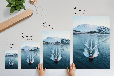 Poster Snow-capped mountains lake motorboat dynamics