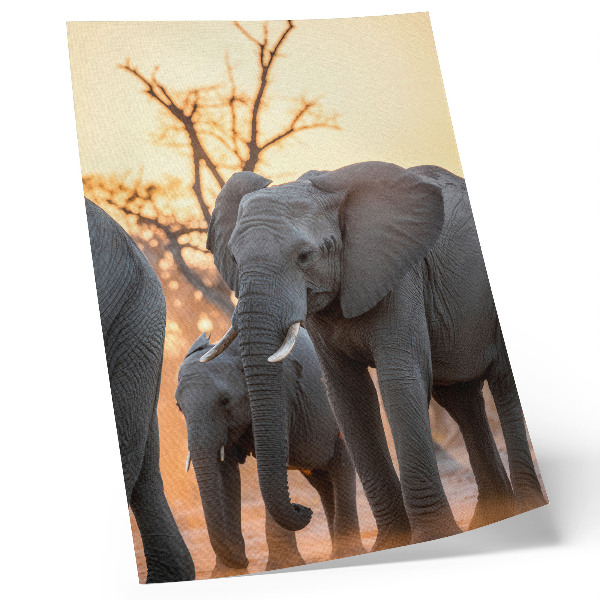 Art print Elephants in the sunset with trees in the background