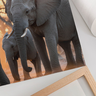 Art print Elephants in the sunset with trees in the background