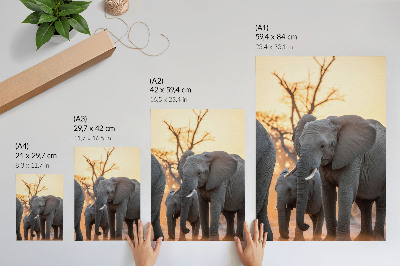 Art print Elephants in the sunset with trees in the background