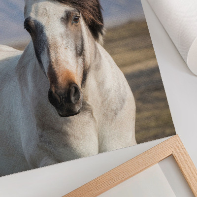 Art print The natural beauty of a horse against the backdrop of mountains, tranquility, simplicity