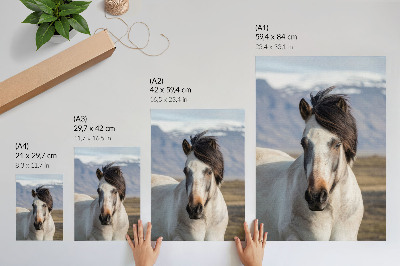 Art print The natural beauty of a horse against the backdrop of mountains, tranquility, simplicity