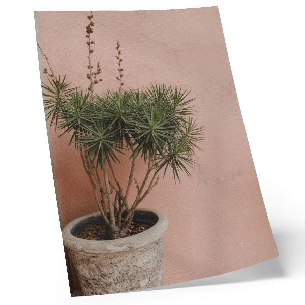Poster Green plant against the background of a peach wall