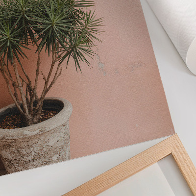 Poster Green plant against the background of a peach wall