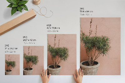 Poster Green plant against the background of a peach wall