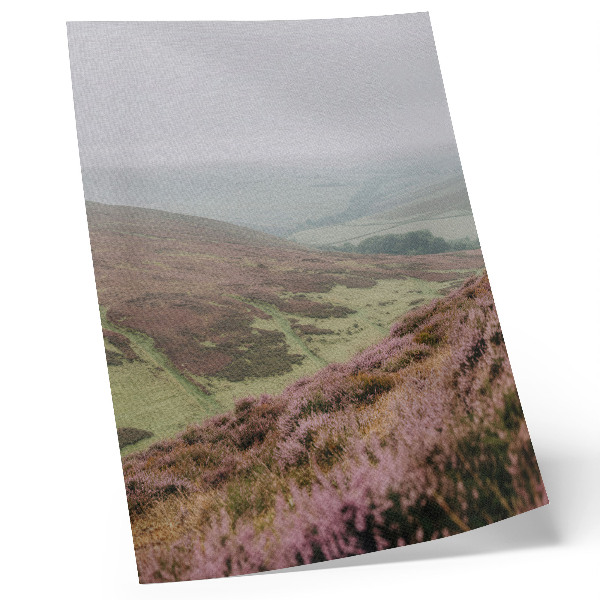 Premium wall art Purple heather fog green gentle hills