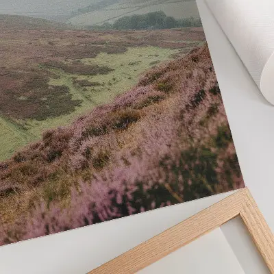 Premium wall art purple heather with soft green hills in the fog