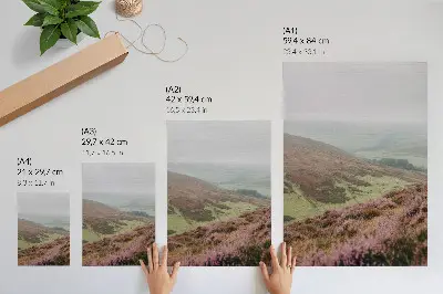 Premium wall art purple heather with soft green hills in the fog