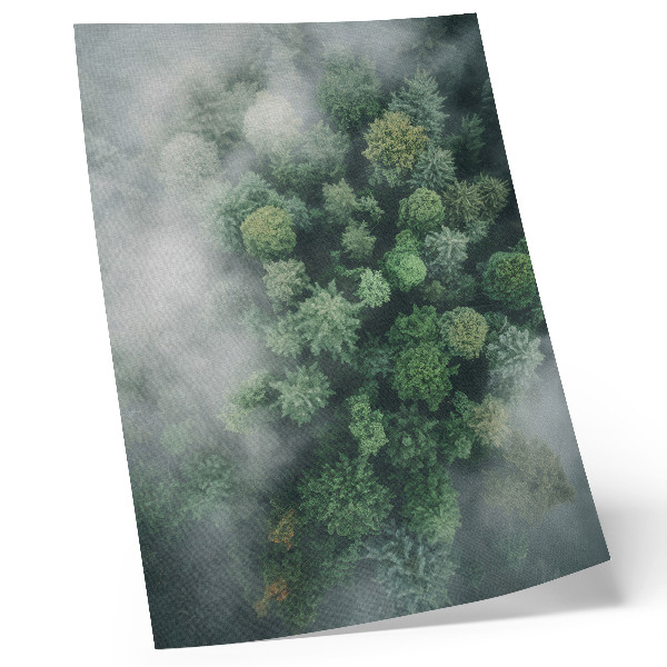 Poster Green trees shrouded in a delicate white mist