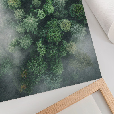 Poster Green trees shrouded in a delicate white mist