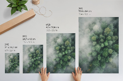 Poster Green trees shrouded in a delicate white mist