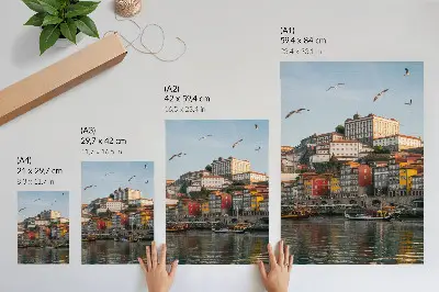 Poster colorful tenement houses with elegant ships and seagulls