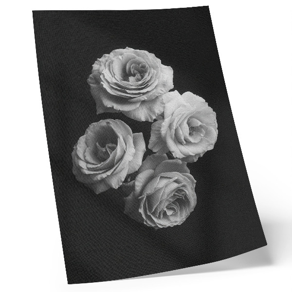 Premium wall art Black and white roses minimalism classic elegance