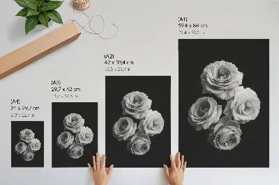 Premium wall art black and white minimalist roses with classic elegance