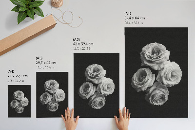Premium wall art Black and white roses minimalism classic elegance