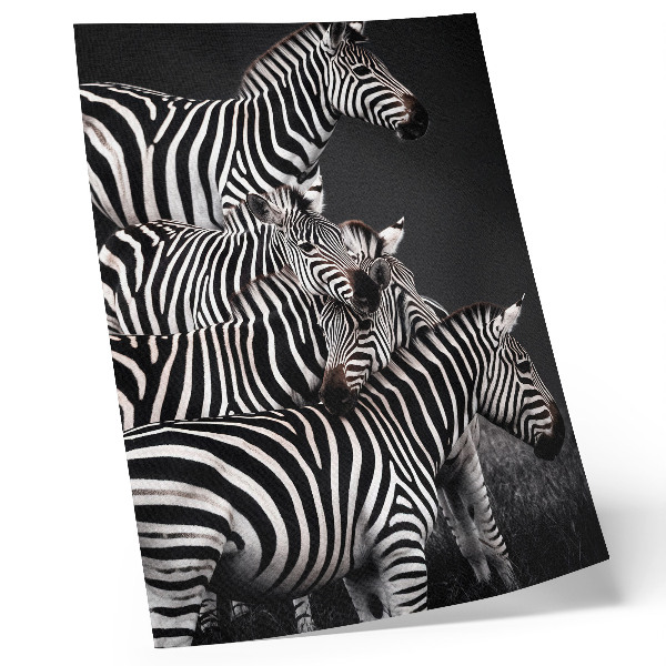 Premium wall art Zebra contrasting black and white vertical lines
