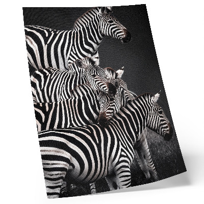 Premium wall art Zebra contrasting black and white vertical lines