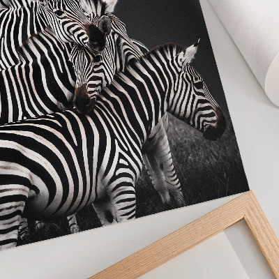 Premium wall art Zebra contrasting black and white vertical lines