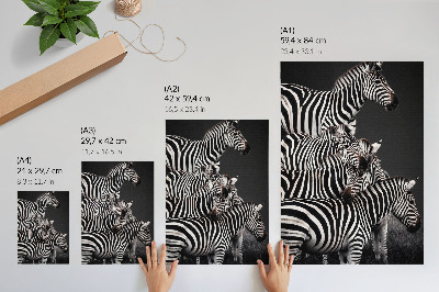 Premium wall art Zebra contrasting black and white vertical lines