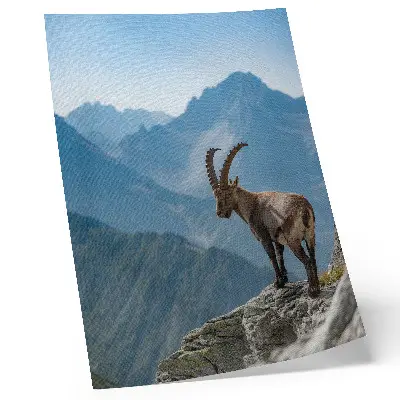 Poster Capricorn against a backdrop of mountains representing the peaceful harmony of nature