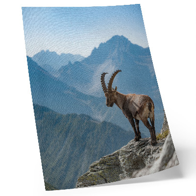 Poster Capricorn against the backdrop of mountains, peaceful harmony of nature