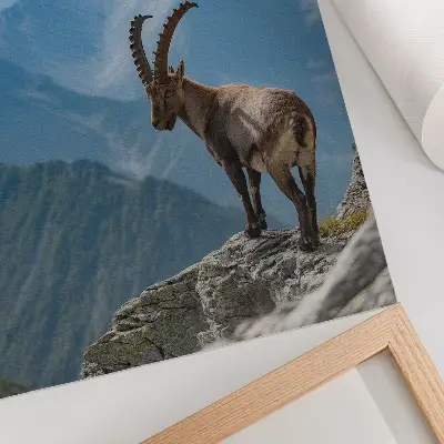Poster Capricorn against a backdrop of mountains representing the peaceful harmony of nature