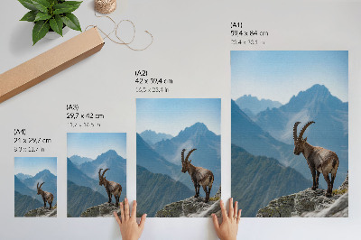 Poster Capricorn against the backdrop of mountains, peaceful harmony of nature