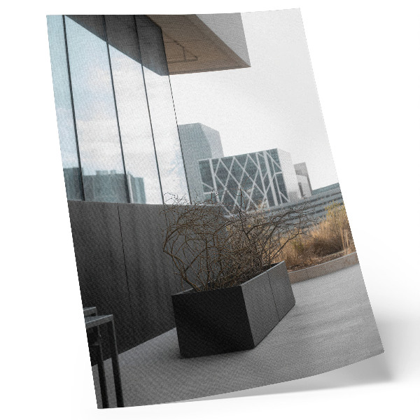 Decorative poster Modern buildings and dry branches