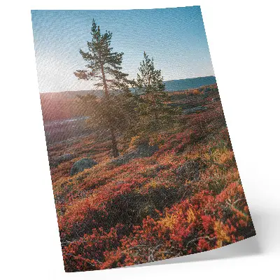 Decorative poster majestic trees in warm colors creating a peaceful atmosphere