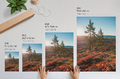 Decorative poster Majestic trees, warm colors, peaceful atmosphere
