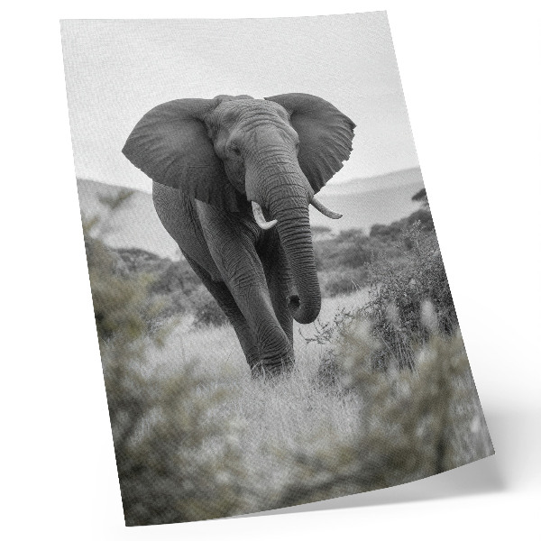 Premium wall art A large elephant against a natural background