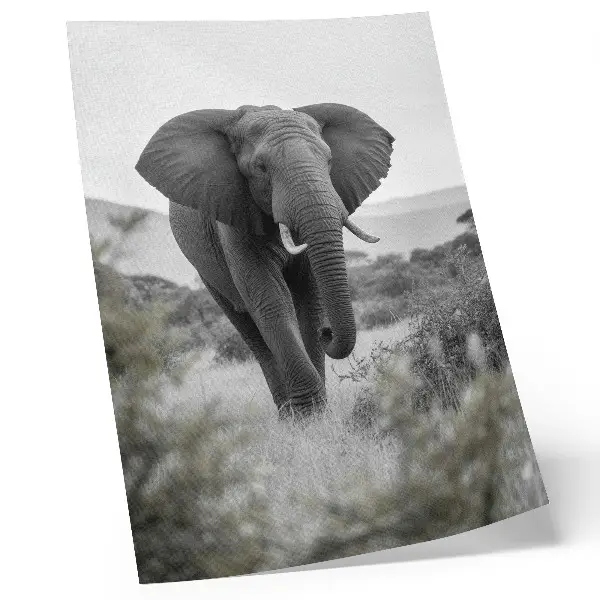 Elephant wall art large elephant against a natural background