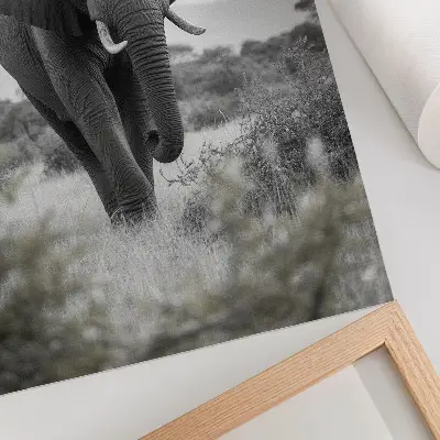 Elephant wall art large elephant against a natural background