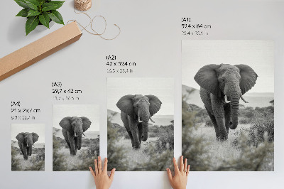 Premium wall art A large elephant against a natural background