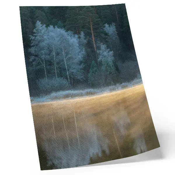 Poster a quiet forest over the water surface with a mystical aura