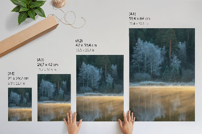 Poster A quiet forest over the water surface, a mystical aura