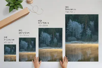 Poster a quiet forest over the water surface with a mystical aura