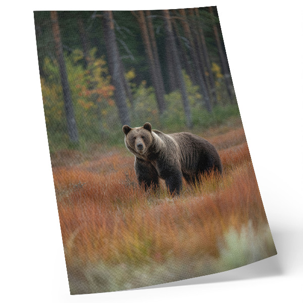 Decorative poster Bear in the autumn forest naturalness and peace